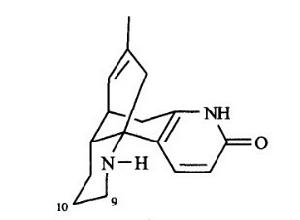石杉鹼乙 石杉鹼乙