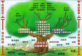 功能醫學檢測 功能醫學檢測