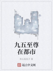 九五至尊在都市 九五至尊在都市
