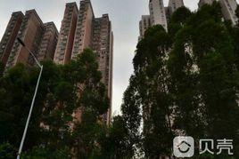 華師大學宿舍高教新村 華師大學宿舍高教新村