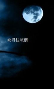 《缺月掛疏桐》