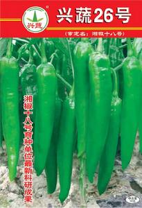 興蔬26號 興蔬26號