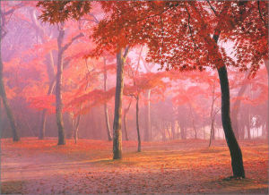 《空中的城堡》 《空中的城堡》