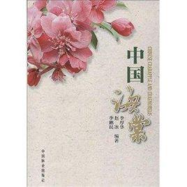 中國海棠 中國海棠