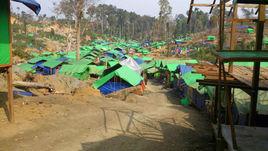 緬甸琥珀礦山 緬甸琥珀礦山