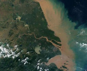 河口三角洲 河口三角洲