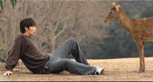 鹿男與美麗的奈良劇照