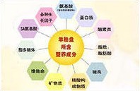 羊胎素精華工藝配方及營養成分