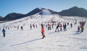 翠柳島滑雪場 翠柳島滑雪場
