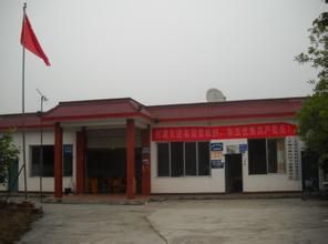 樂善村站 樂善村站