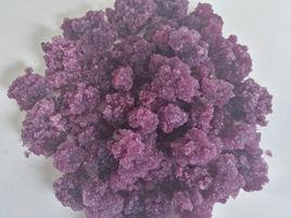 雪蓮培養物 雪蓮培養物