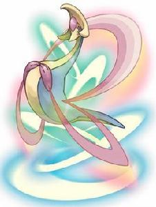 新月之舞 新月之舞