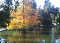 休塔德里亞公園 休塔德里亞公園