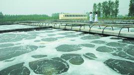 沁陽市產業集聚區 沁陽市產業集聚區