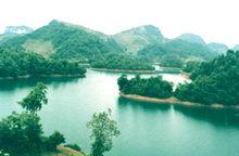 百里杜鵑[國家5A級旅遊景區]