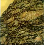 變質動力學 變質動力學