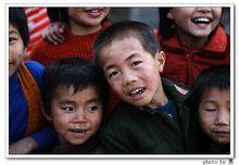 湖坪鄉[江西省樂安縣湖坪鄉]