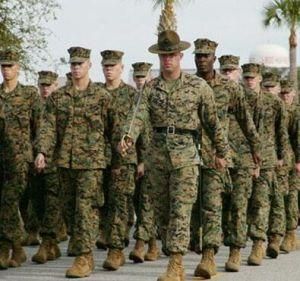 軍官職業化 軍官職業化