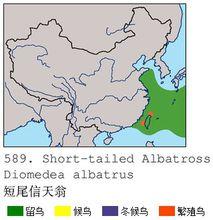 短尾信天翁中國分布圖
