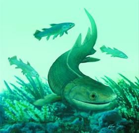 奇異東生魚 奇異東生魚