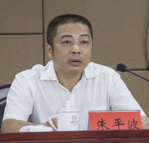 朱平波[汨羅市代理市長]