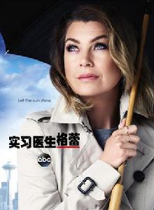 實習醫生格蕾第十二季 實習醫生格蕾第十二季