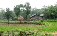 重慶市永川區板橋鎮農村