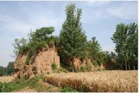 康城村[河南省許昌市下轄村]