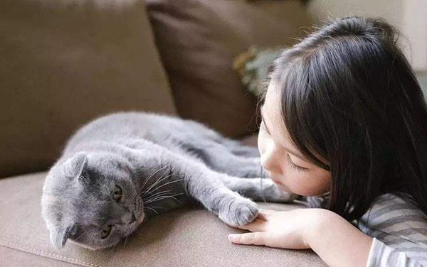 為什麼越來越多人開始養貓？因為這個“歪頭殺”