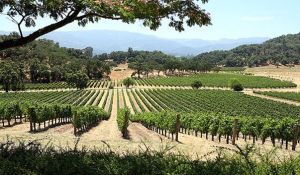 香山農場 香山農場