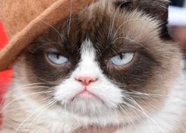 天生臭臉 天生臭臉