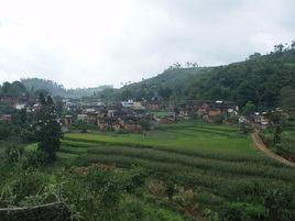 九龍村[峨山縣塔甸鎮塔甸村民委員會下轄村]