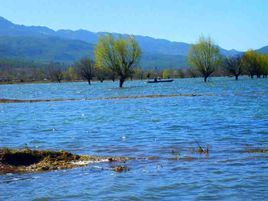 拉市海濕地公園 拉市海濕地公園