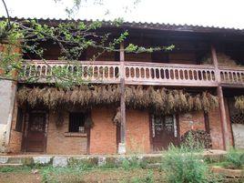 石耳朵村 石耳朵村