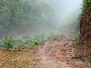 大坍山村 大坍山村