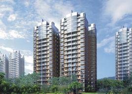 泰康花園 泰康花園