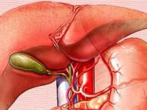 膽囊平滑肌肉瘤 膽囊平滑肌肉瘤