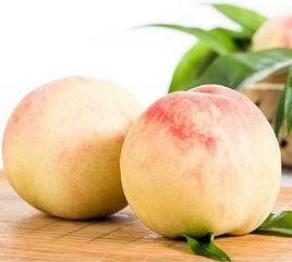 晚湖景桃 晚湖景桃