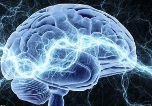 人類潛能 人類潛能