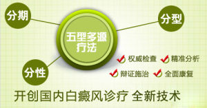 五型多源黑色素激活體系 五型多源黑色素激活體系