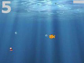 小魚吃魚餌 小魚吃魚餌