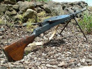 蘇聯捷格加廖夫輕機槍 蘇聯捷格加廖夫輕機槍