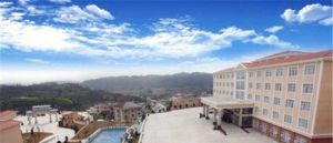 大洋雲霧山莊 大洋雲霧山莊