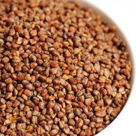 苦蕎全胚茶 苦蕎全胚茶