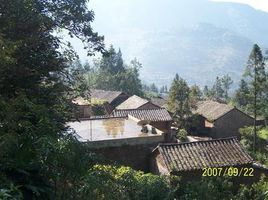 長樂村委會 長樂村委會