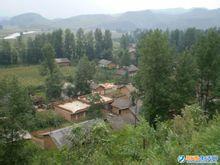 大營村[雲南省昭通市昭陽區青崗嶺鄉大營村]