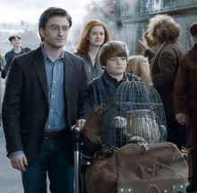 亞瑟&middot;博文參演哈7