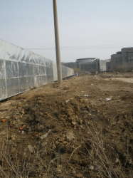 泰萊白金灣一期 泰萊白金灣一期