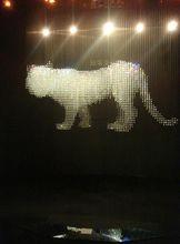 水晶虎《天地玄黃》01號