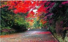 建陽庵山森林公園